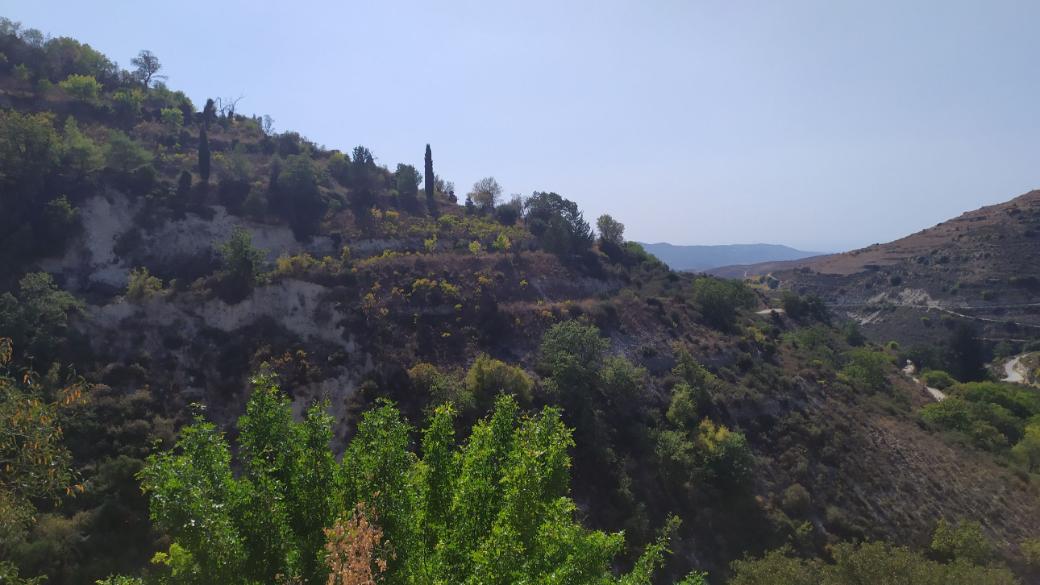 Limassol Property Field in Arsos