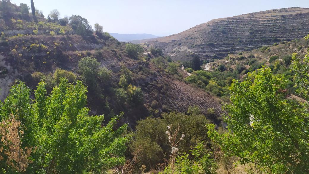 Limassol Property Field in Arsos