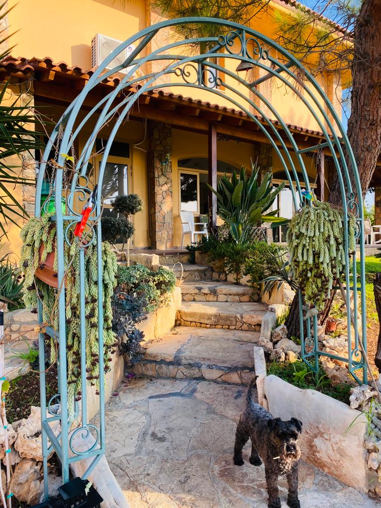 Limassol Property Six Bedroom Villa