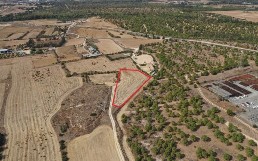 Nicosia Property Shared Field