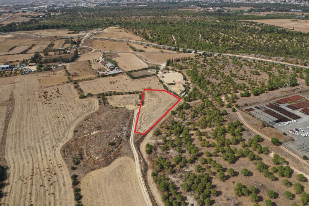 Nicosia Property Shared Field