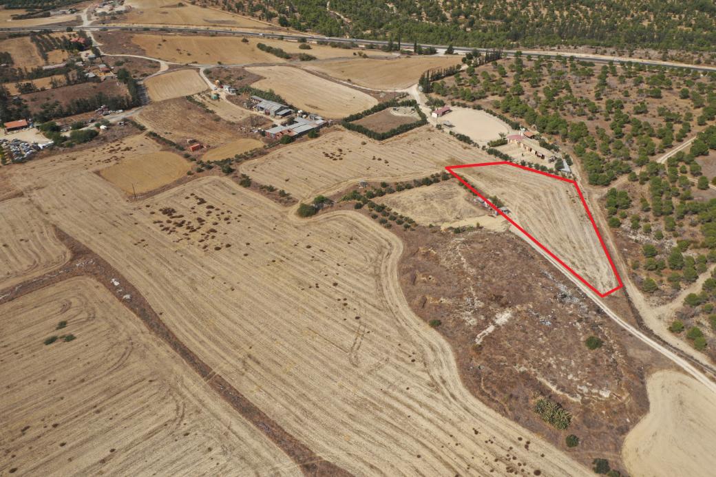 Nicosia Property Shared Field