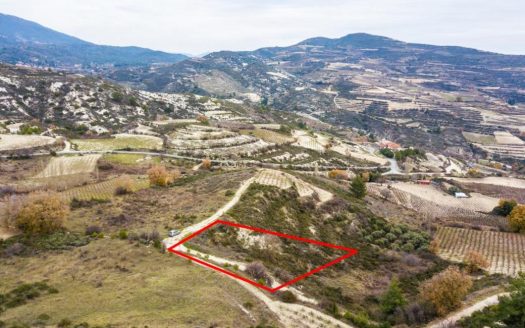 Limassol Property Field in Omodos