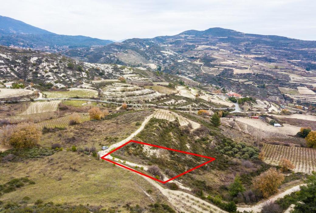 Limassol Property Field in Omodos