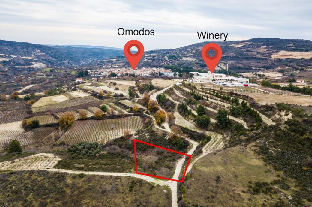 Limassol Property Field in Omodos