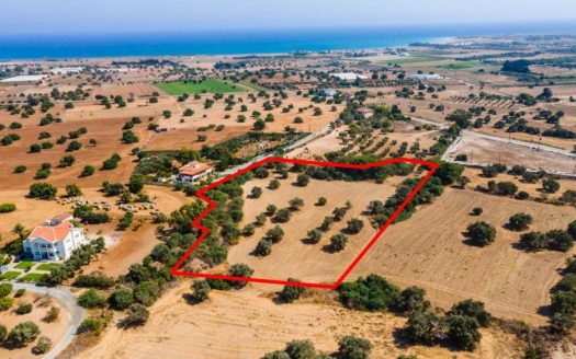 Larnaca Property Field