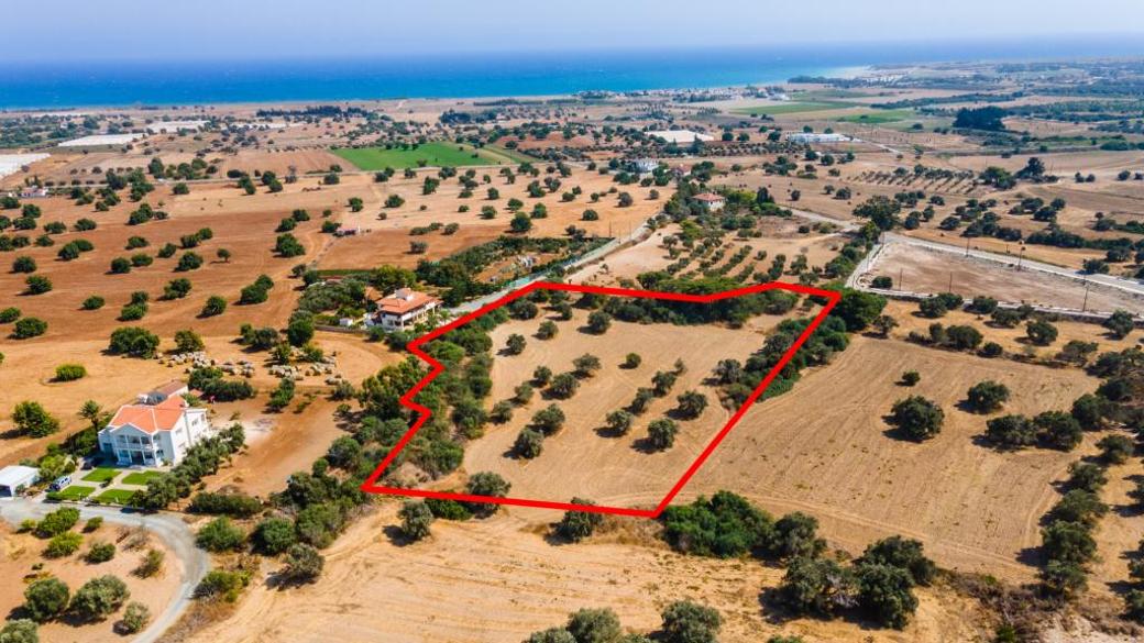 Larnaca Property Field