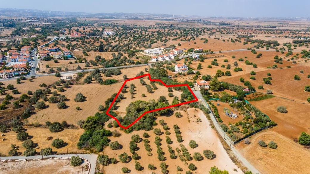 Larnaca Property Field