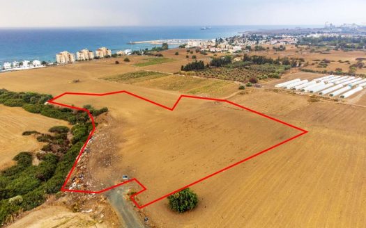 Larnaca Property Shared Field