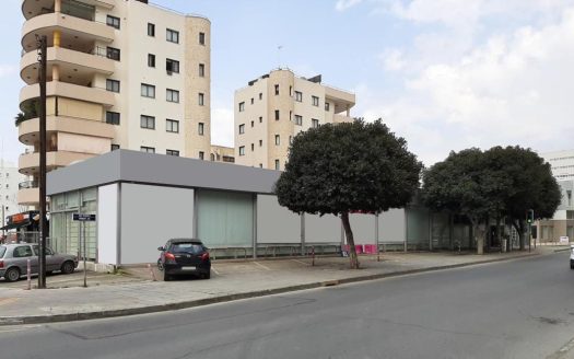 Nicosia Property Plot With Retail Store In Agioi Omologites