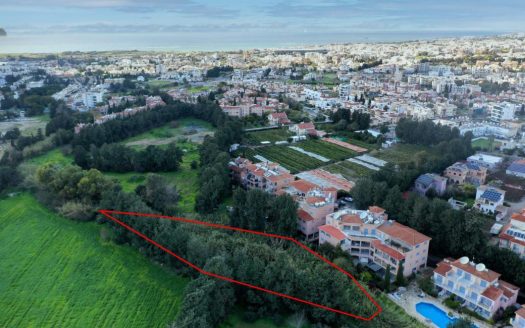 Paphos Property Shared Field