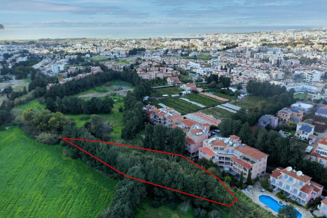 Paphos Property Shared Field
