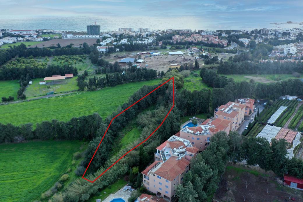 Paphos Property Shared Field