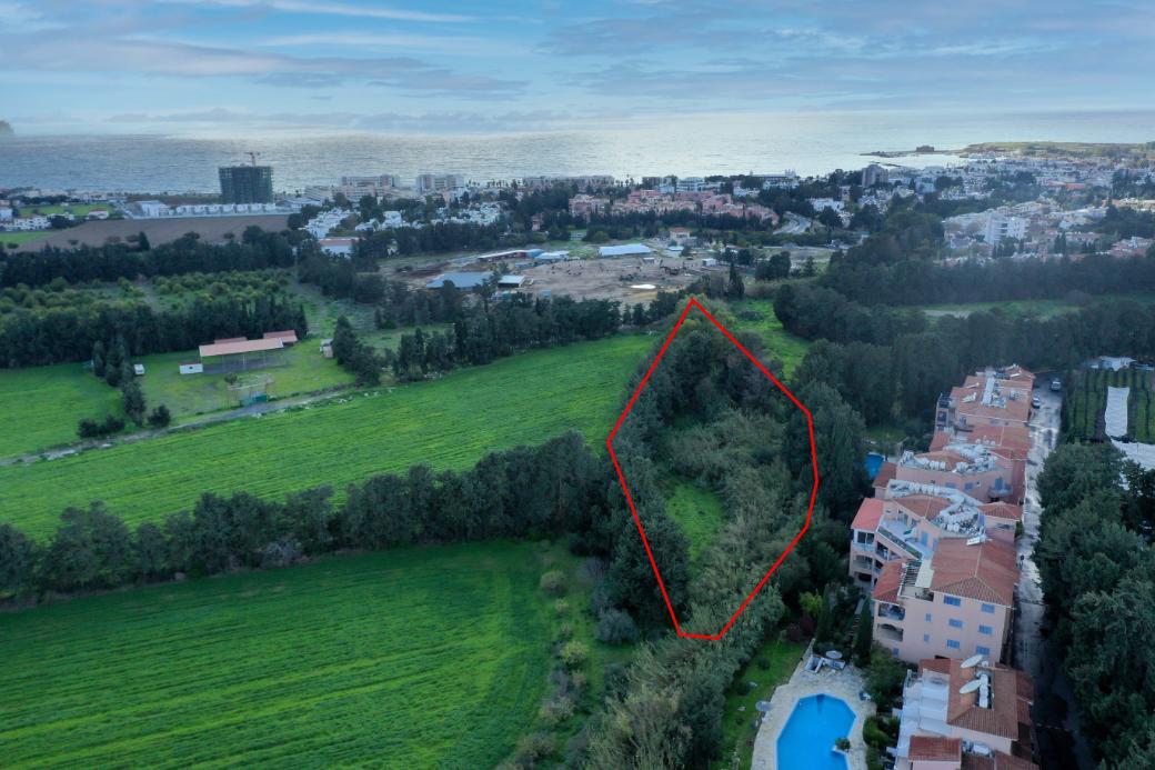 Paphos Property Shared Field