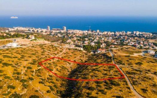 Limassol Property Field