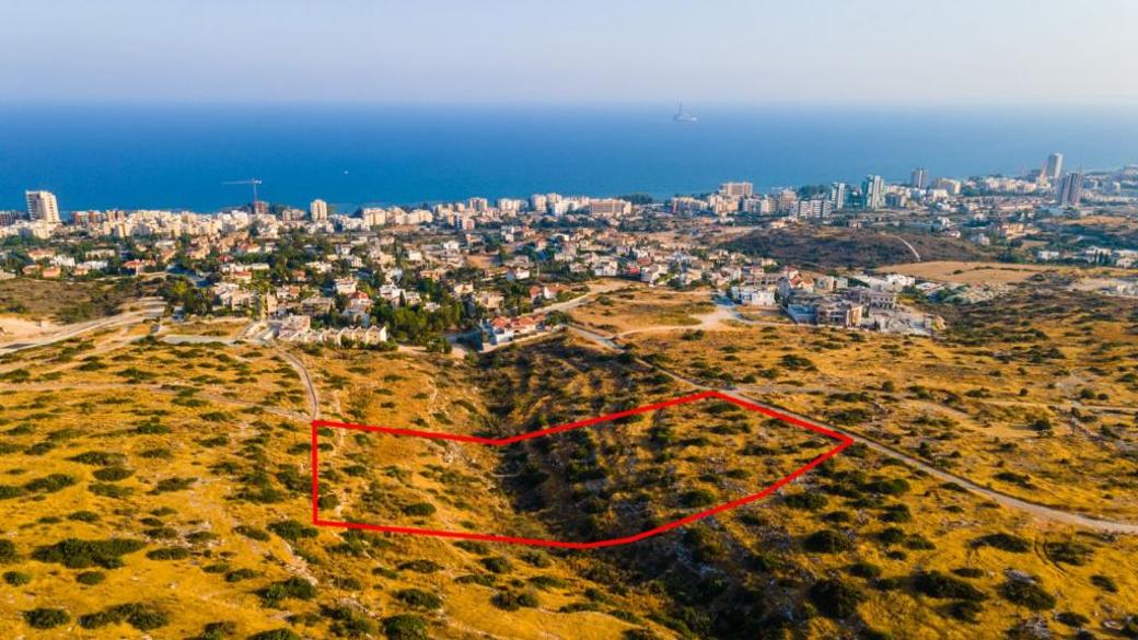 Limassol Property Field