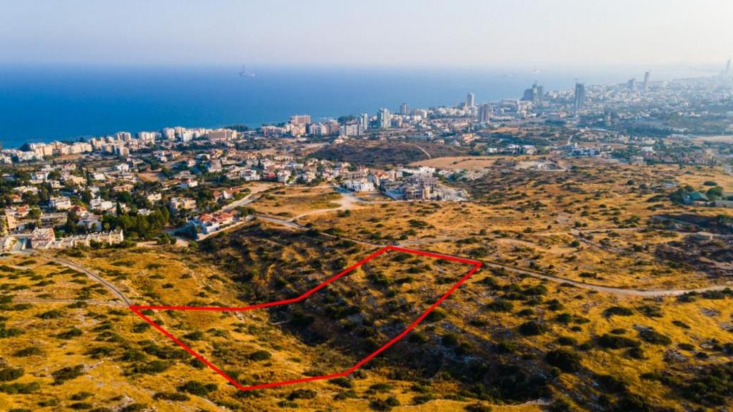 Limassol Property Field