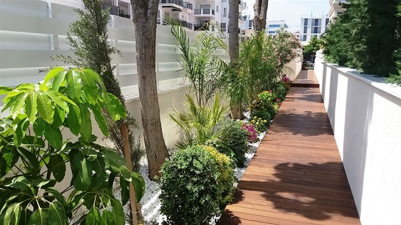 Limassol Property Beachfront Apartments