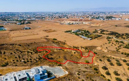 Nicosia Property Field