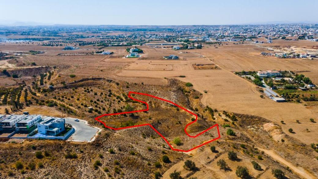 Nicosia Property Field