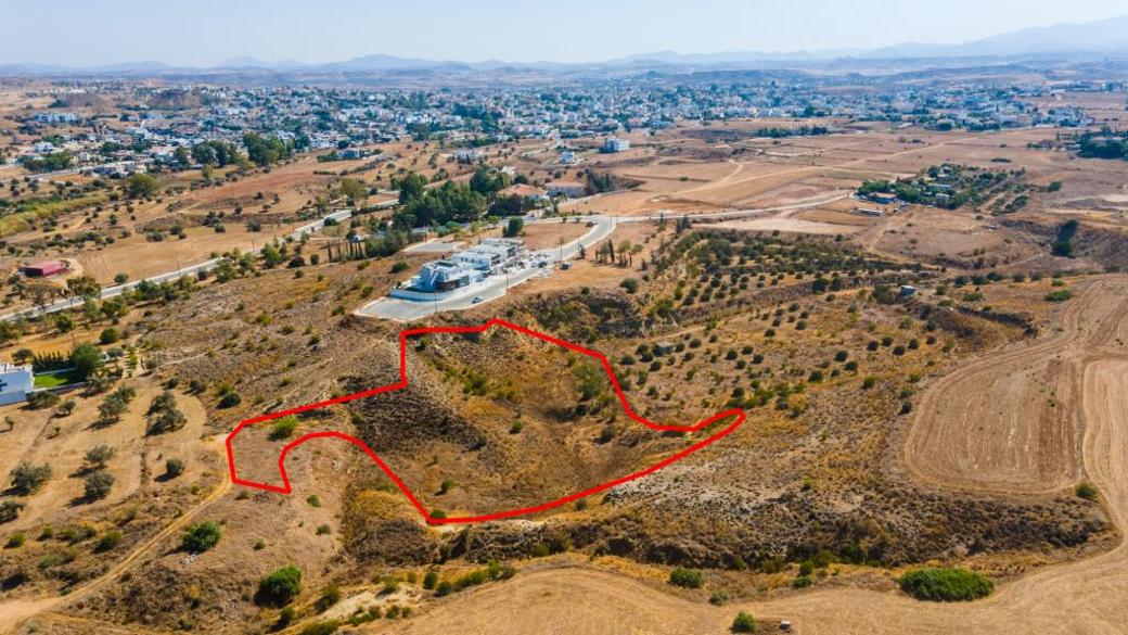 Nicosia Property Field