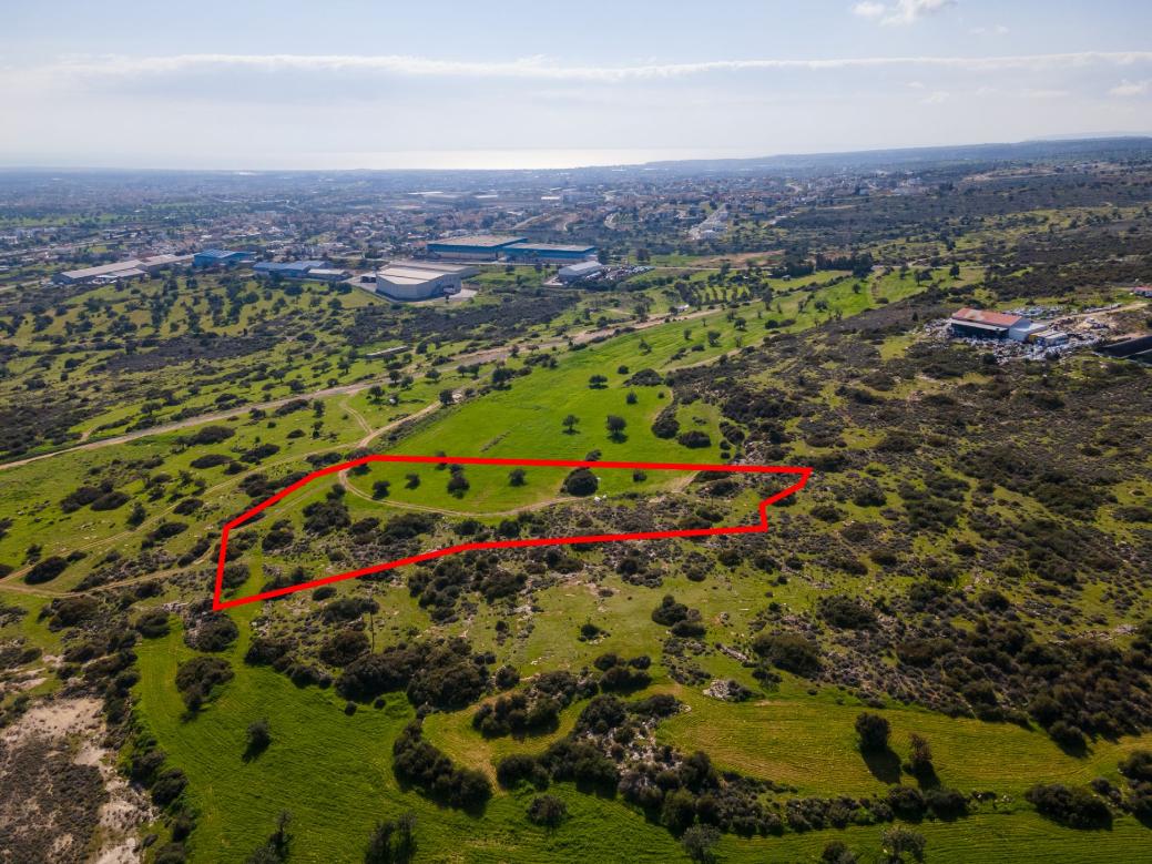 Limassol Property Shared Field
