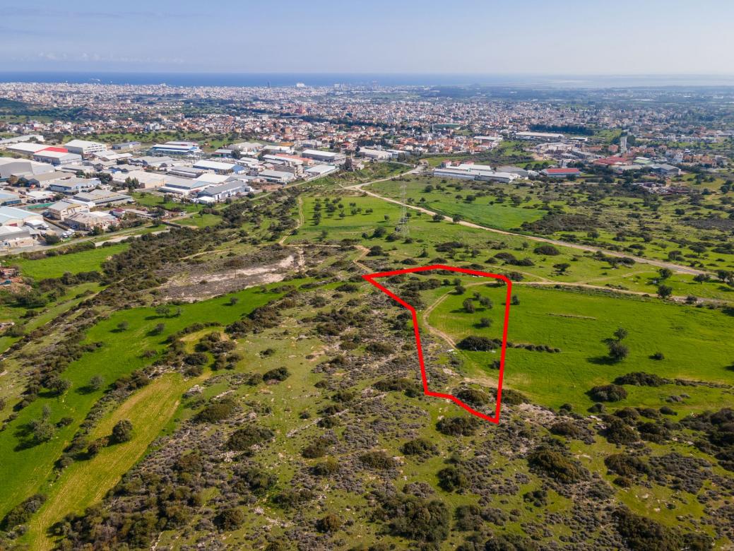 Limassol Property Shared Field