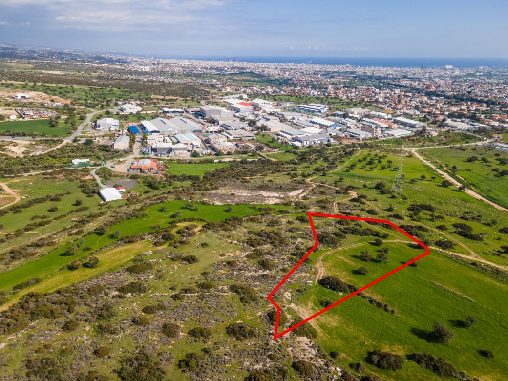 Limassol Property Shared Field