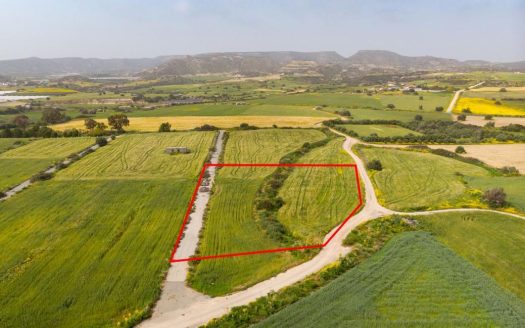 Limassol Property Field In Maroni