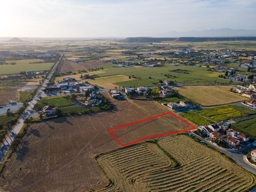 Larnaca Property Shared field