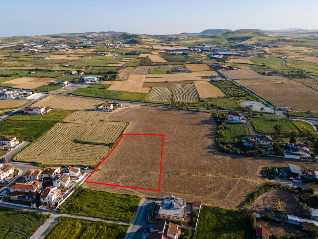 Larnaca Property Shared field