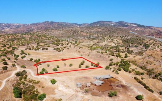 Paphos Property Field