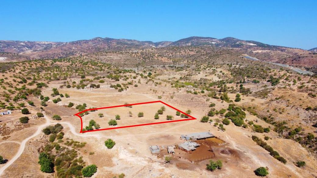 Paphos Property Field
