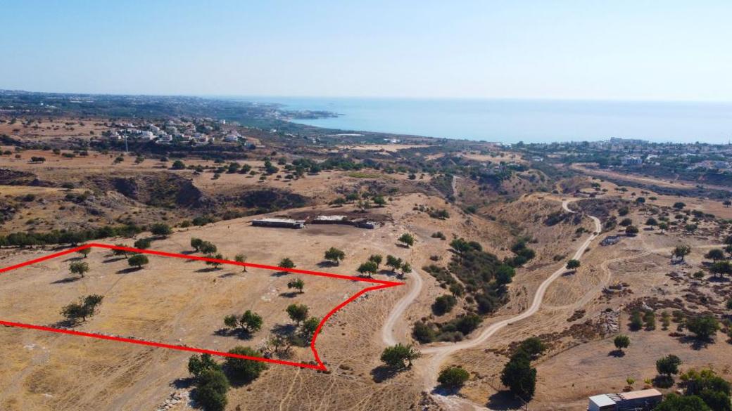 Paphos Property Field