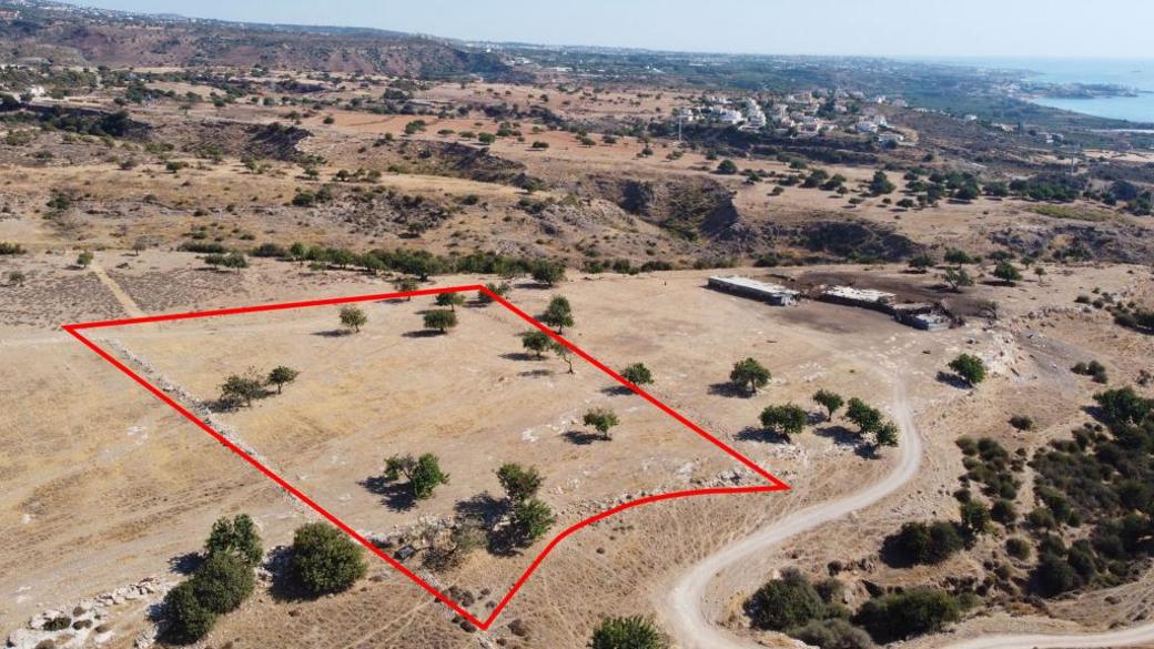 Paphos Property Field