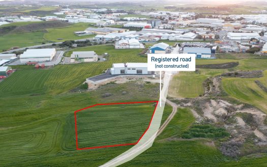 Nicosia Property Field