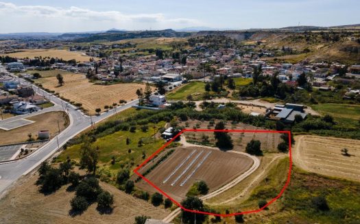 Larnaca Property Field