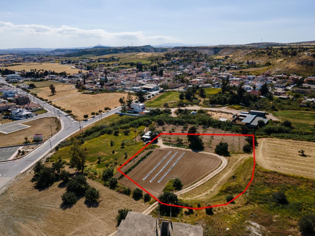 Larnaca Property Field