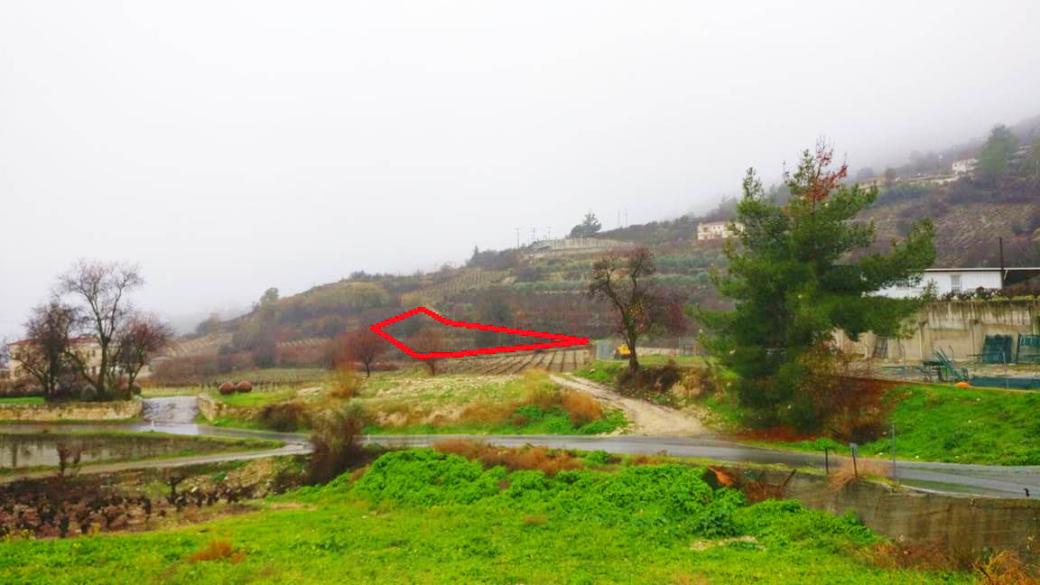 Limassol Property Field