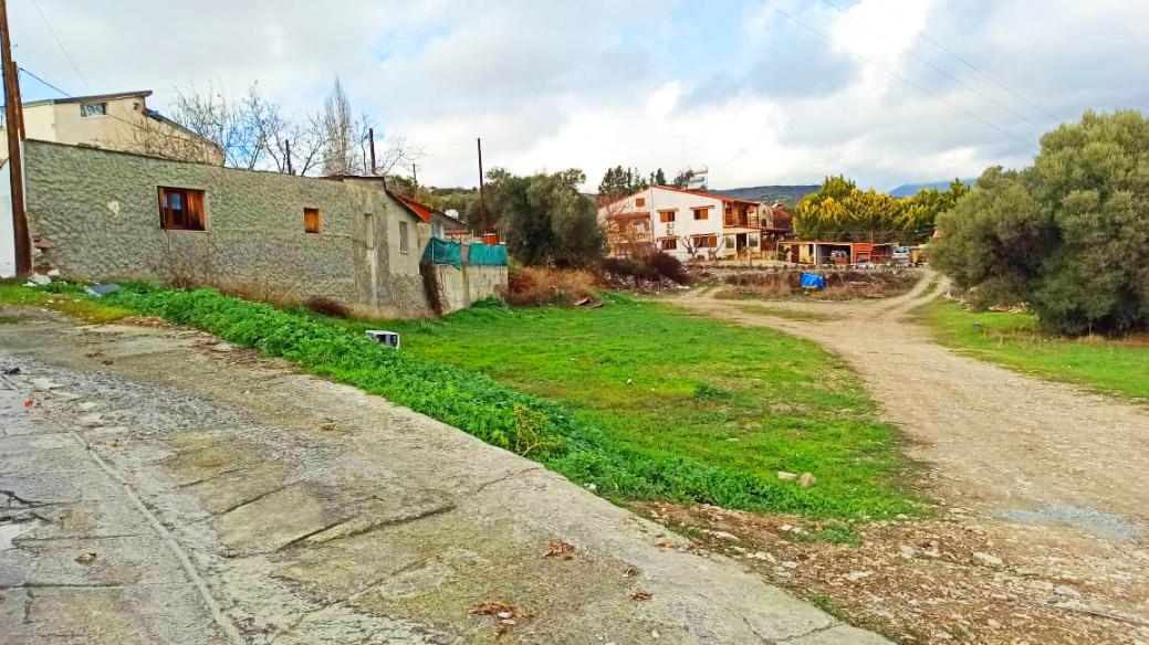 Limassol Property Field