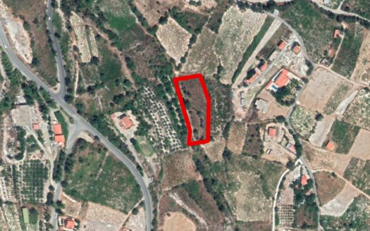 Limassol Property Field