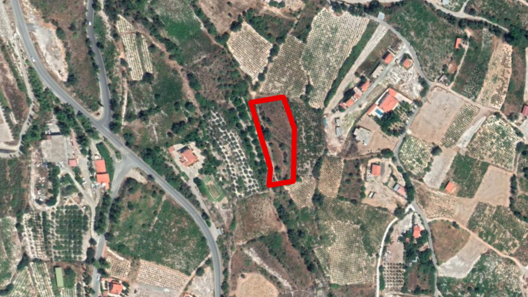 Limassol Property Field