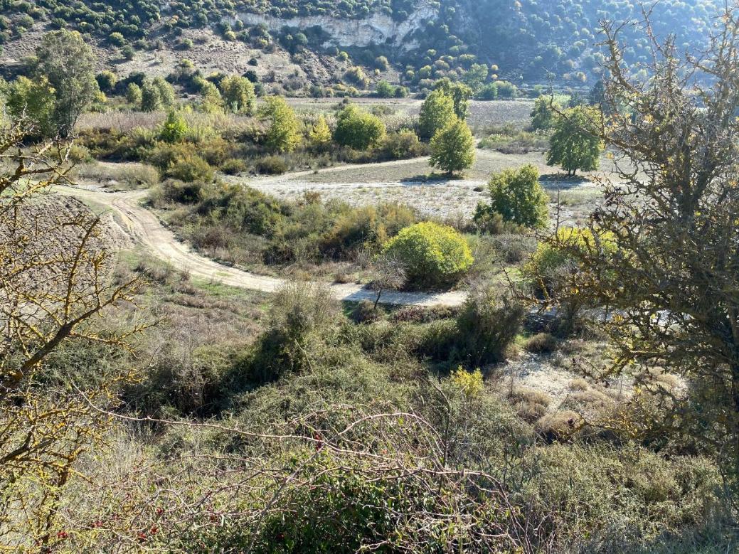 Paphos Property Shared Field in Pitargou