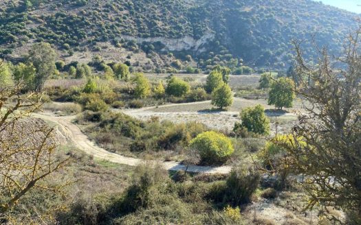 Paphos Property Shared Field in Pitargou
