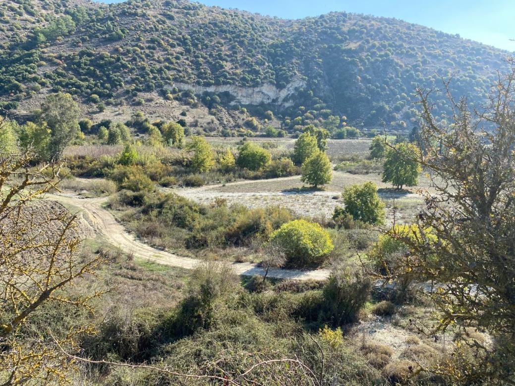 Paphos Property Shared Field in Pitargou