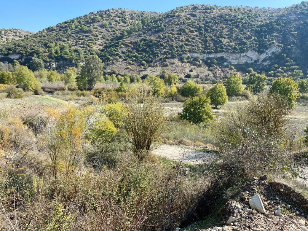 Paphos Property Shared Field in Pitargou