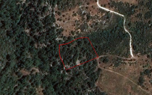 Limassol Property Field