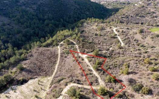 Limassol Property Field in Dora