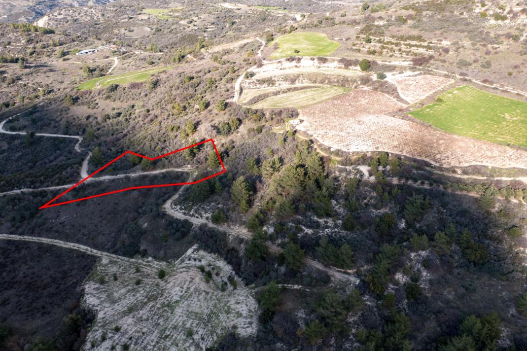 Limassol Property Field in Dora