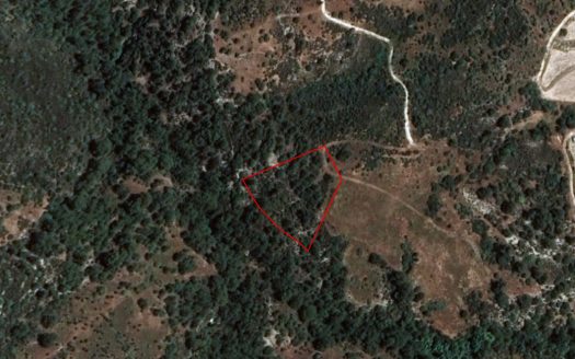 Limassol Property Field